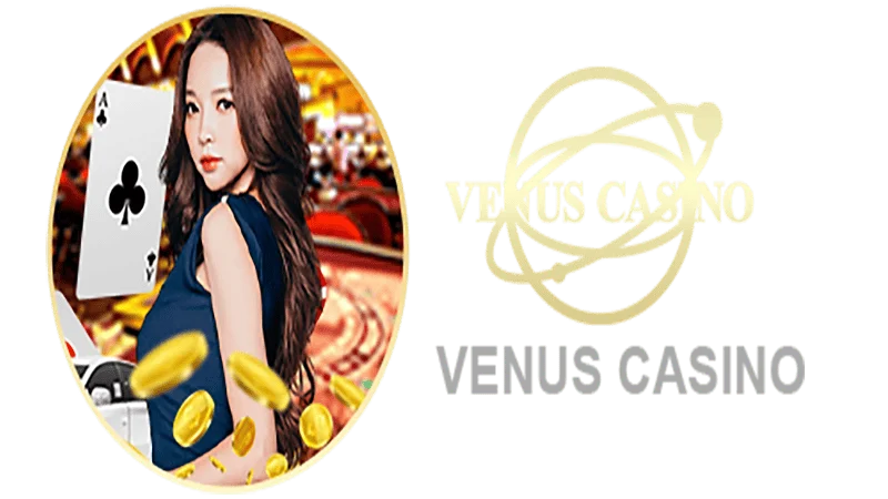 bet4x Informações básicas sobre o saguão do cassino Venus
